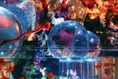 人妻24時　しずく