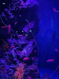 待ちナビ　まな