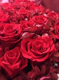 待ちナビ　みよ