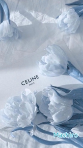 TheGrandPhoenix　真白※ご奉仕系超清純奥様