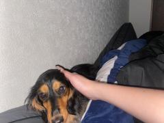 アイドルか？？？