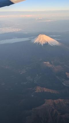 Spica(すぴか)　★さくらこ★WHITEコース