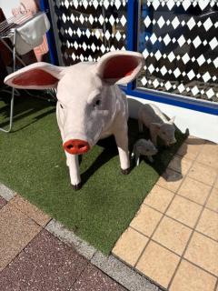 人妻宅急便　小夜(さよ)美熟女