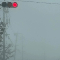 鹿児島ちゃんこ 霧島店　しずか