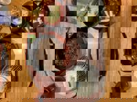 大人の遊園痴「スピーディー」　りつ（敏感で癒し系）