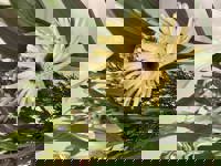 大人の遊園痴「スピーディー」　りつ（敏感で癒し系）