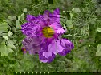 大人の遊園痴「スピーディー」　りつ（敏感で癒し系）