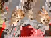 宮崎ちゃんこ中央通店 宮崎市デリヘル ここあ 写メ日記「撮ったよ！」