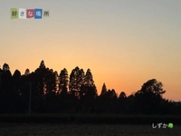 鹿児島ちゃんこ 霧島店　しずか