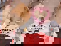 宮崎ちゃんこ中央通店　ここあ