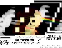 宮崎ちゃんこ中央通店　ぼたん