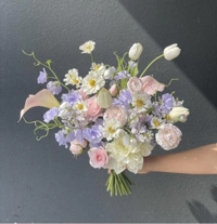 フェアリー　なつ