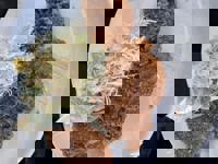 大人の遊園痴「スピーディー」　りつ（敏感で癒し系）