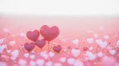 鹿児島ちゃんこ薩摩川内店　なな