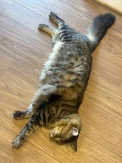 INFINITY沖縄(那覇市) さよ