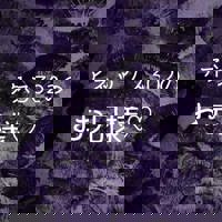 宮崎ちゃんこ中央通店　ぼたん