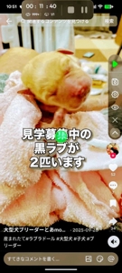 待ちナビ　まや