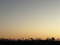 鹿児島ちゃんこ 霧島店　しずか