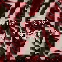 宮崎ちゃんこ中央通店　ぼたん