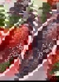 宮崎ちゃんこ中央通店　さな