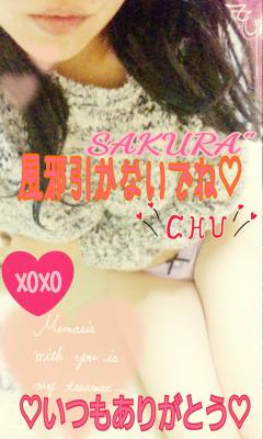  サクラSakura