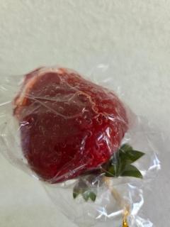 Spica(すぴか)　新★まい★完全業界初！