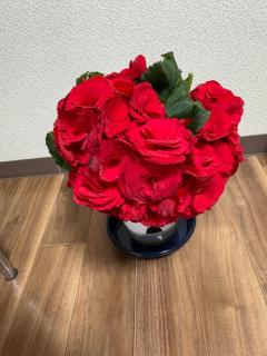 人妻宅急便　小夜(さよ)美熟女