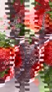 宮崎ちゃんこ中央通店　さな