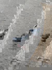 宮崎ちゃんこ中央通店　さな