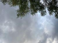 ママらんど宮崎店　りんか☆極上の美熟女