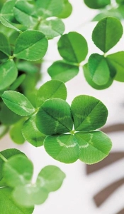 ミセス都城店　ゆずき