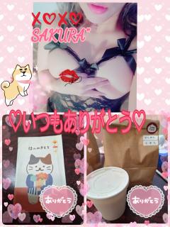 MICHELIN ミシュラン　サクラSakura