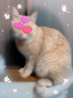 来夢来人大分店　夏（なつ）新人奥様