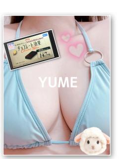 MICHELIN ミシュラン　ゆめ　YUME