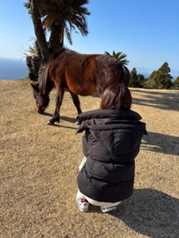 マドンナSANSAIN　しょう