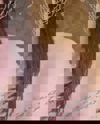 宮崎ちゃんこ中央通店　ゆあ