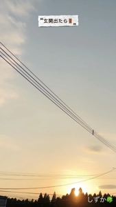 鹿児島ちゃんこ 霧島店　しずか