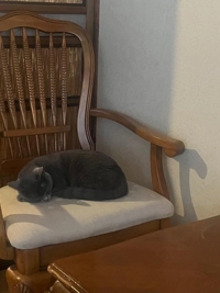 チュパチャップス 18歳☆マシロ