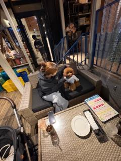 CLUB LUMINE　白愛【はくあ】