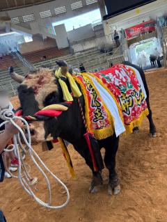 es-1  エスワン　ねい