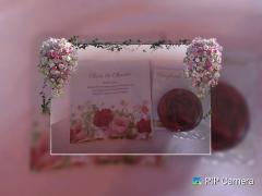 鶴富屋敷 ヒナ、(癒しの女王)