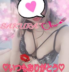 MICHELIN ミシュラン　サクラSakura