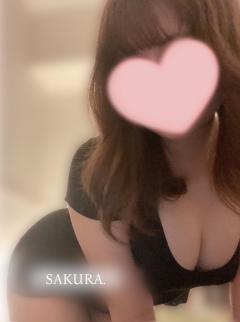 DALIA(ダリア)　サクラ(新人)