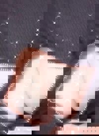 宮崎ちゃんこ中央通店(宮崎市) のん