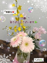 鹿児島ちゃんこ 霧島店　しずか