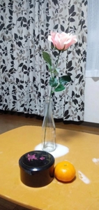 宮崎ちゃんこ都城店　なつこ