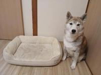 オキニトーク☆