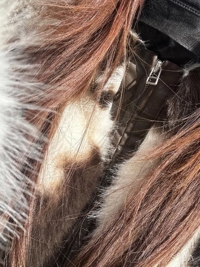 チュパチャップス 体験☆サイリ