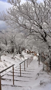 TheGrandPhoenix　夏目※激カワ完全業界未経験