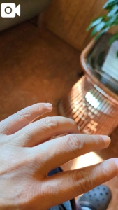 待ちナビ　まや